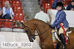 14buck_3989 proof