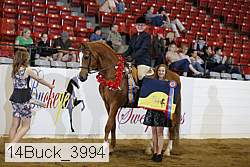 14buck_3994 proof