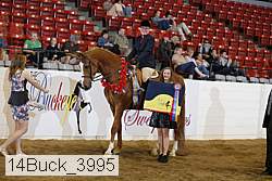 14buck_3995 proof