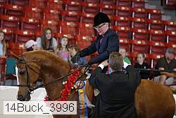 14buck_3996 proof
