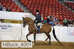 14buck_4001 proof