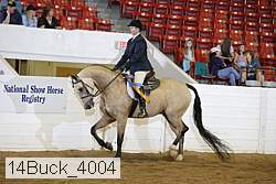 14buck_4004 proof