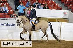 14buck_4005 proof