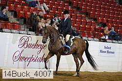 14buck_4007 proof