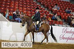 14buck_4009 proof
