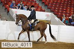 14buck_4011 proof