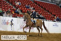 14buck_4012 proof