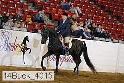 14buck_4015 proof