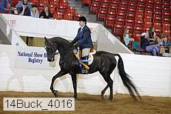 14buck_4016 proof