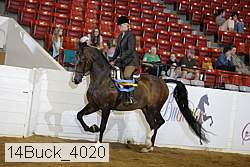 14buck_4020 proof