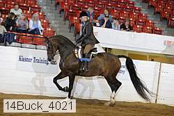14buck_4021 proof