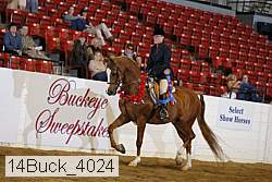 14buck_4024 proof