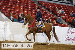 14buck_4025 proof