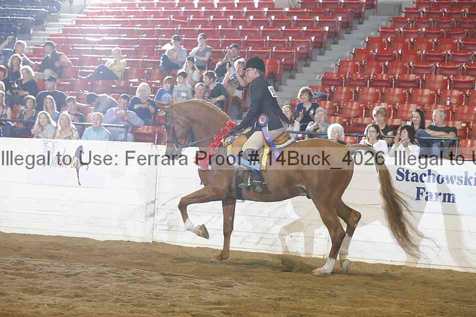 Proof 14buck_4026