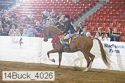14buck_4026 proof