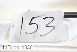 14buck_4030 proof