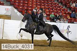 14buck_4031 proof
