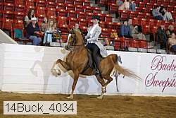 14buck_4034 proof