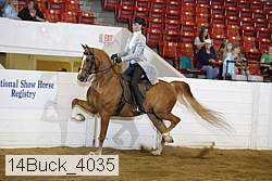 14buck_4035 proof