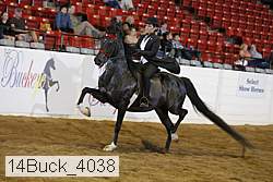 14buck_4038 proof