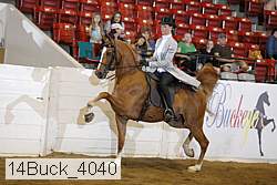 14buck_4040 proof