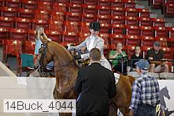 14buck_4044 proof