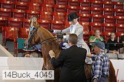 14buck_4045 proof