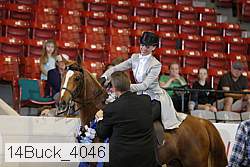 14buck_4046 proof