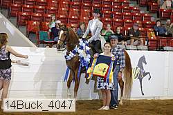 14buck_4047 proof