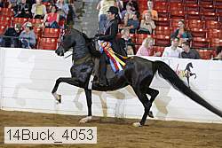 14buck_4053 proof