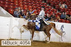 14buck_4054 proof