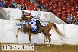 14buck_4055 proof