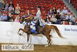 14buck_4056 proof