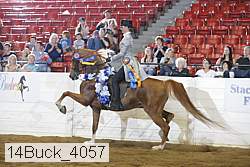 14buck_4057 proof