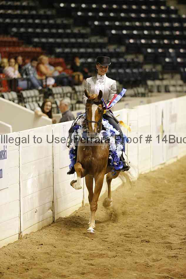 Proof 14buck_4059