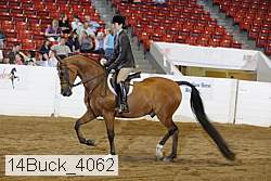 14buck_4062 proof