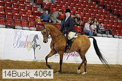 14buck_4064 proof
