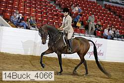 14buck_4066 proof