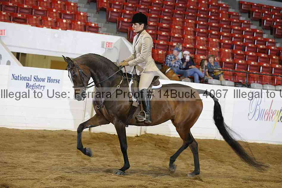 Proof 14buck_4067