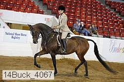 14buck_4067 proof
