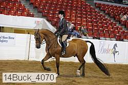 14buck_4070 proof