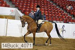 14buck_4071 proof