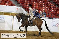 14buck_4072 proof