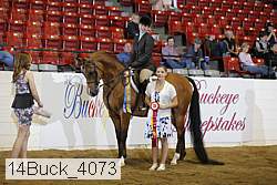 14buck_4073 proof