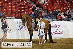 14buck_4074 proof