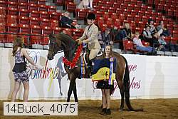 14buck_4075 proof