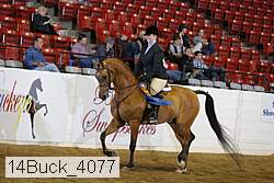 14buck_4077 proof
