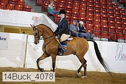 14buck_4078 proof
