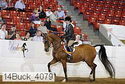 14buck_4079 proof