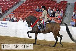 14buck_4081 proof